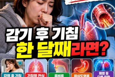 감기는 나았는데 기침만 한 달째? 그냥 넘기면 안 되는 5가지 원인과 병원 가야 할 위험 신호
