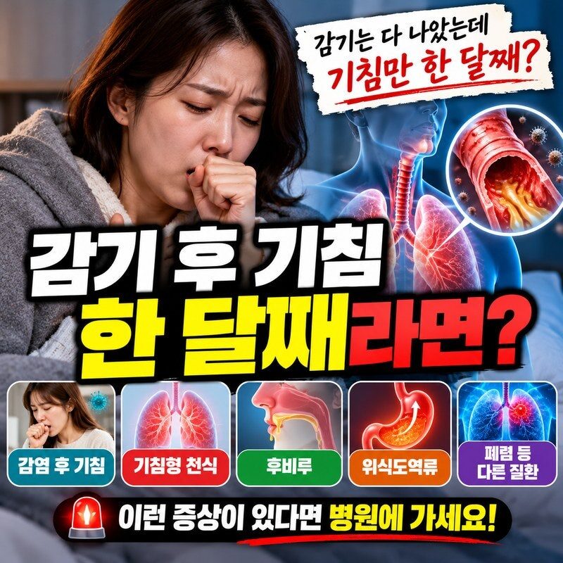 감기는 나았는데 기침만 한 달째? 그냥 넘기면 안 되는 5가지 원인과 병원 가야 할 위험 신호