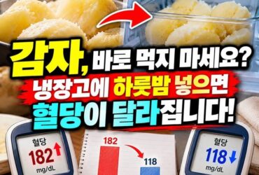 “감자 삶아서 바로 먹지 마세요?” 냉장고에 하룻밤 넣으면 혈당이 달라진다! 당뇨 걱정된다면 알아야 할 감자 먹는 법 10가지