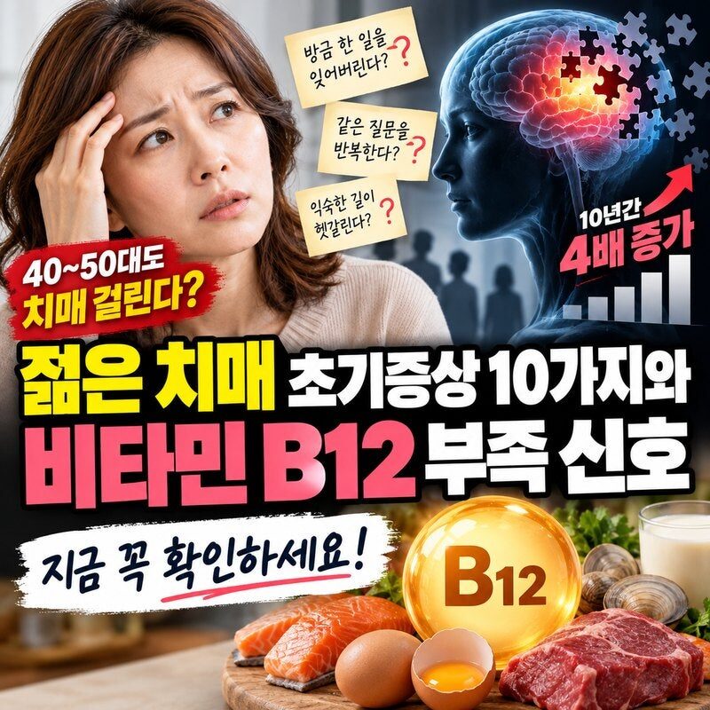 “40~50대도 치매 걸린다?” 젊은 치매 초기증상 10가지와 비타민 B12 부족 신호 총정리