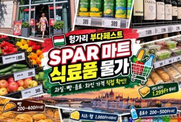 “헝가리 물가 정말 저렴할까?” 부다페스트 SPAR 마트 직접 가보니…맥주·와인·과일·빵 가격에 놀랐다! 2026년 현지 식료품 물가 총정리