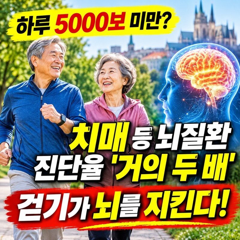 “하루 5000보도 안 걷는다면?” 치매·뇌졸중 등 뇌질환 진단율 81% 높았다! 50대 이후 꼭 알아야 할 걷기 운동의 효과